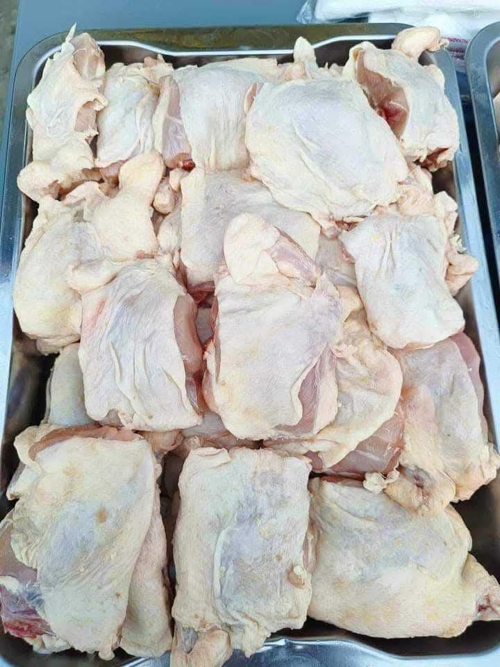 Fresh Broiler Chickens